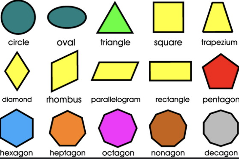 Shape